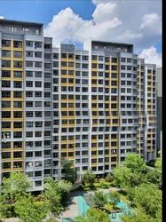 Blk 334C Anchorvale Cove (Sengkang), HDB 4 Rooms #578683541